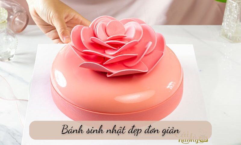 bánh sinh nhật đẹp đơn giản