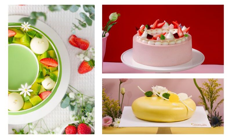 bánh sinh nhật đơn giản đẹp