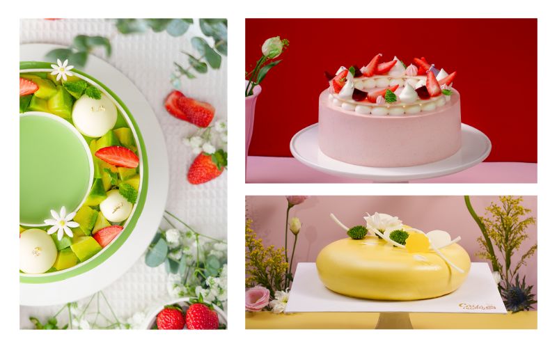 bánh sinh nhật đơn giản đẹp