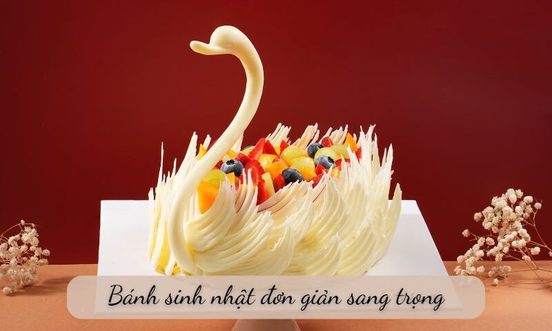 bánh sinh nhật đơn giản sang trọng