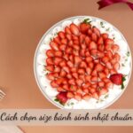 size bánh sinh nhật