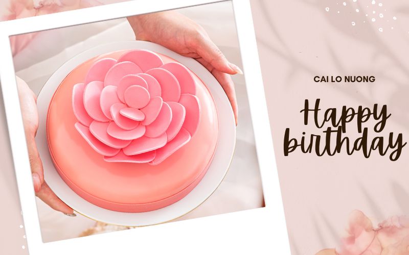 bánh sinh nhật màu hồng đơn giản